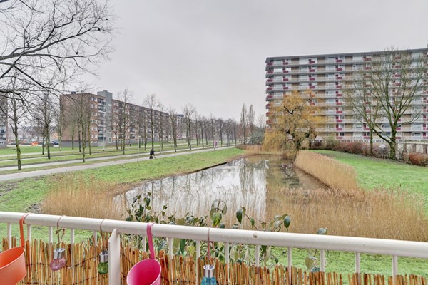 Medium property photo - Antwerpenstraat 302, 4826 HH Breda