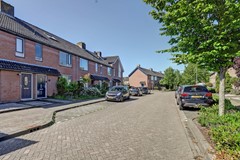 03_ETTEN_LEUR_4872_RR_Zilvermeeuw_24.jpg