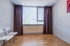 20_ETTEN_LEUR_4872_RR_Zilvermeeuw_24.jpg