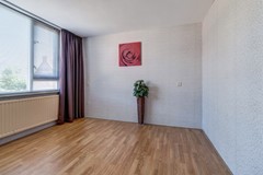 21_ETTEN_LEUR_4872_RR_Zilvermeeuw_24.jpg