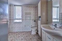 28_ETTEN_LEUR_4872_RR_Zilvermeeuw_24.jpg