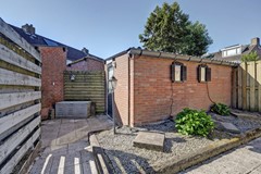 34_ETTEN_LEUR_4872_RR_Zilvermeeuw_24.jpg