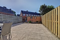 37_ETTEN_LEUR_4872_RR_Zilvermeeuw_24.jpg