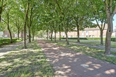 38_ETTEN_LEUR_4872_RR_Zilvermeeuw_24.jpg
