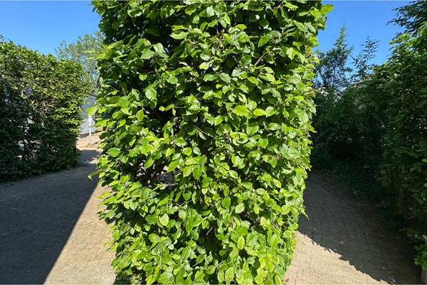 Medium property photo - Vijlenberg 171, 6294 AV Vijlen