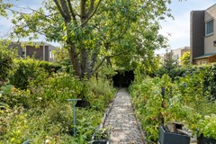 Laurentiusstraat136191ETBeekNL-52.jpg