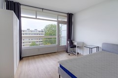 V12_282_1181JJ113 (13).jpg