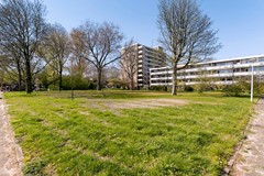 Bolestein734Amsterdam-40.jpg