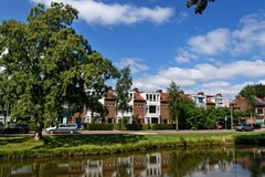 V12_021_1181NL49.jpg