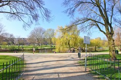 IMG_9010-3.jpg