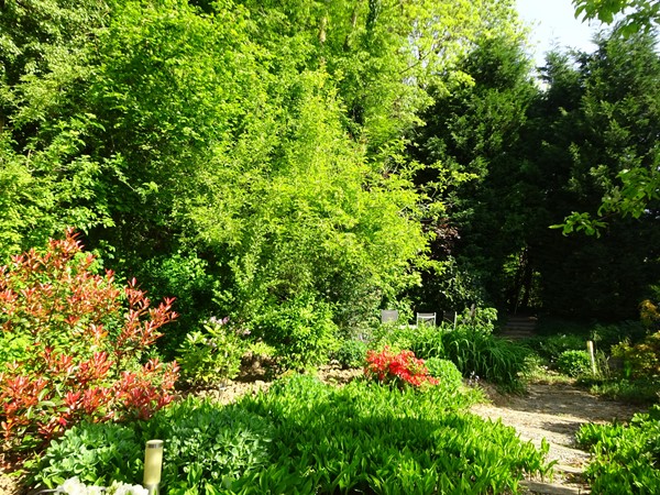 Medium property photo - Hegge 50, 6365 EE Schinnen