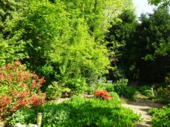 DSC01600.JPG