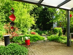 DSC01599.JPG