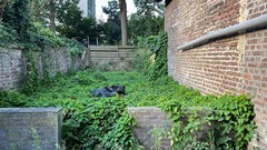 IMG-20250821-WA0003.jpg