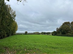 img_0997.jpg