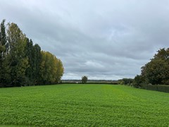 img_0998.jpg