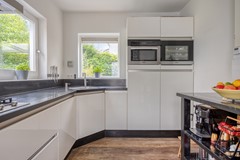 Mosasaurusweg136212ejMaastricht-37.jpg