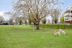 Verkocht: Zeilmakerstraat 8, 8251 GT Dronten