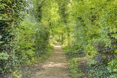 Verkocht: De Kaapstander 16, 8251 LH Dronten