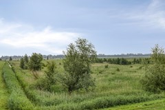 Verkocht: Buitenplaats 10, 8251 PZ Dronten