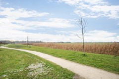 Verkocht: Het Penseel 19, 8253 ZE Dronten