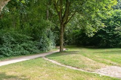 Verkocht: Manegelaan 43, 8252 ES Dronten