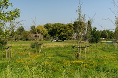 14 - Kleibergsestraat 40C Eethen.JPG