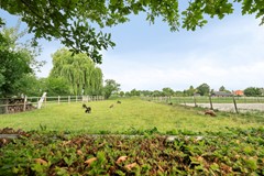 BurgemeestervanRijswijkstraat84285XWWoudrichem-25.jpg