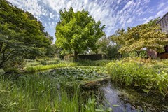 8 - Paalstraat 20 De Moer Tuin 2.jpg