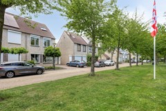 Langewerf154273XSHank-01.jpg