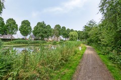 Langewerf154273XSHank-47.jpg
