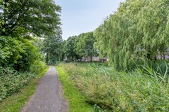 Langewerf154273XSHank-48.jpg