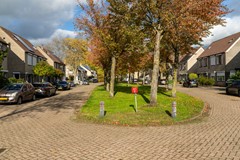 Te koop: Langewerf 15, 4273XS Hank