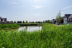 4 - Boomgaard 47 Nieuwendijk.JPG
