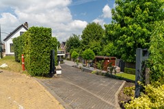 43 - Buitendijk 70 Hank.JPG