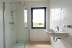 20 - Gulderling 20 Andel.JPG