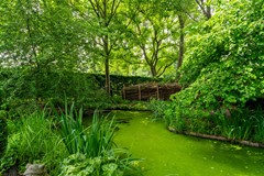 54 - Benedenkerkstraat 80 Waspik.JPG