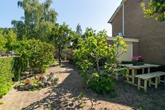 29 - Guldenaerde 49 Giessen.JPG