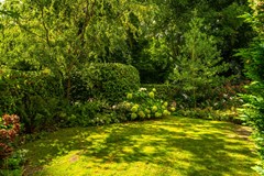 41 - Kurenpolderweg 5 Hank.JPG