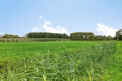 40- De Klompenmaker 15 Rijswijk NB.jpg