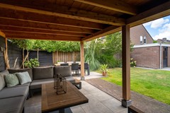 34 - Goudplevier 38 Waspik.JPG