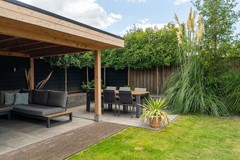 35 - Goudplevier 38 Waspik.JPG