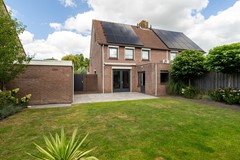 36 - Goudplevier 38 Waspik.JPG