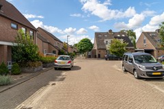 2 - Goudplevier 38 Waspik.JPG