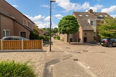 4 - Goudplevier 38 Waspik.JPG