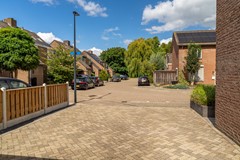 5 - Goudplevier 38 Waspik.JPG