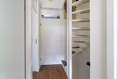 16 - Goudplevier 38 Waspik.JPG