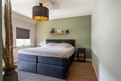 17 - Goudplevier 38 Waspik.JPG