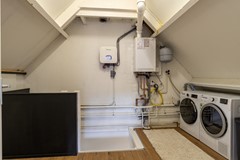 25 - Goudplevier 38 Waspik.JPG