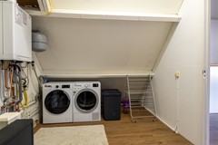 26 - Goudplevier 38 Waspik.JPG